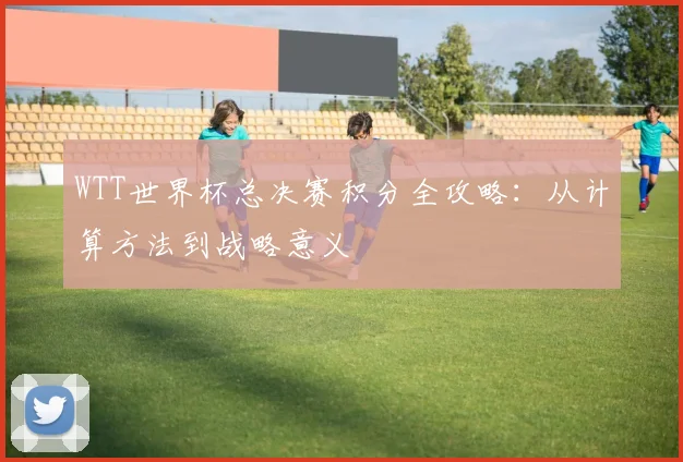 WTT世界杯总决赛积分全攻略：从计算方法到战略意义